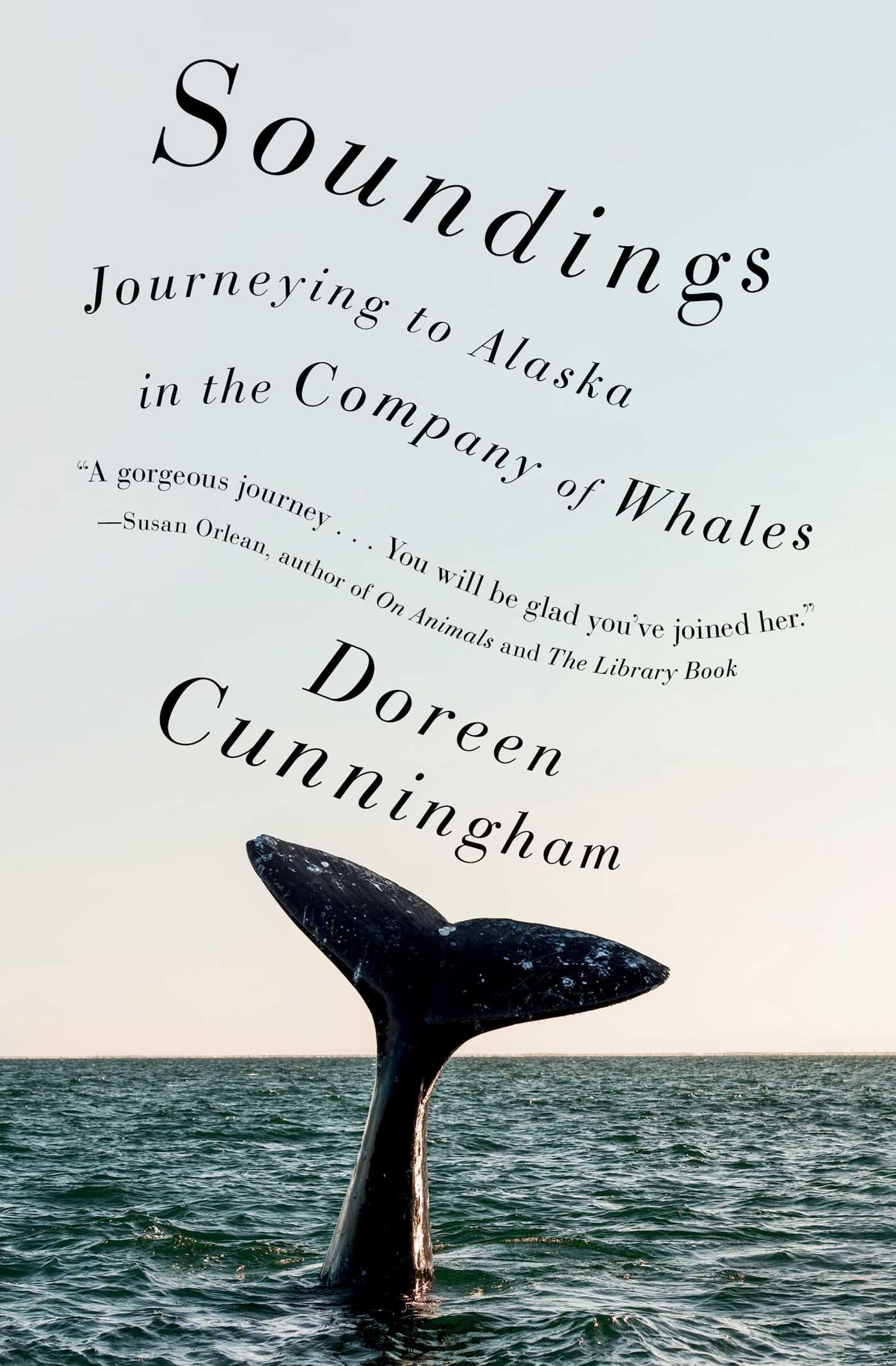 Soundings | Book by Doreen Cunningham | Official Publisher Page ...