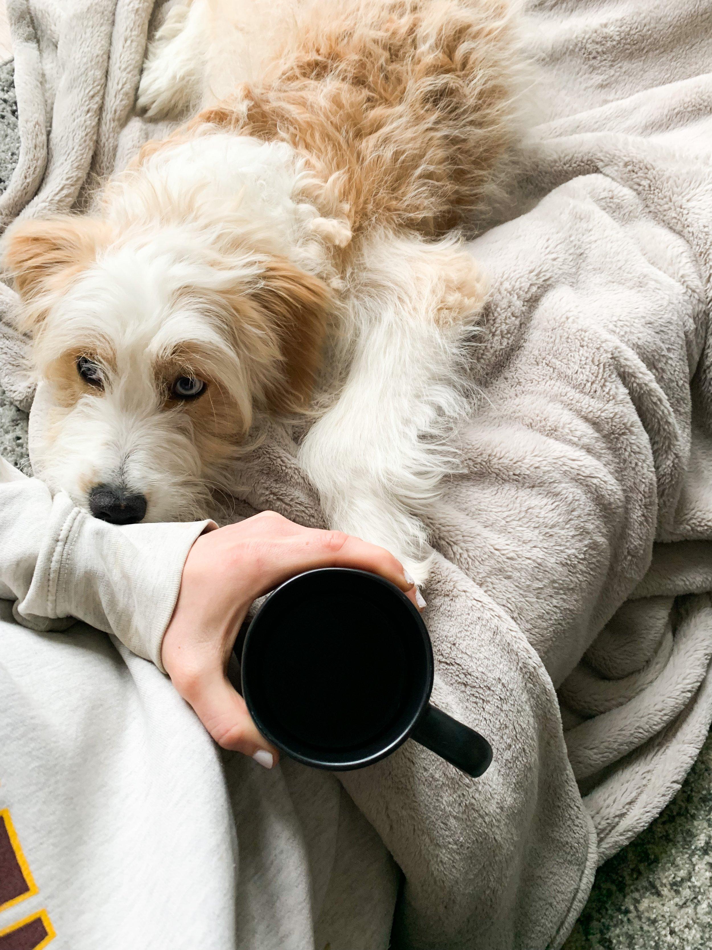 Lifestyle Posts — HH Fitness