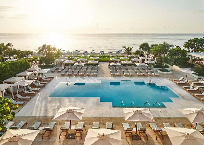 Top Hotels Near West Palm Beach: Where Comfort Meets Convenience
