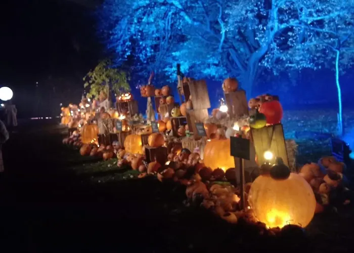 Top Affordable Hotels in Glasgow's Heart