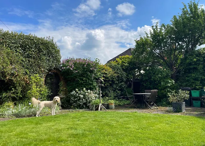 Discovering Affordable Accommodations: Cheap Hotels in Bromley