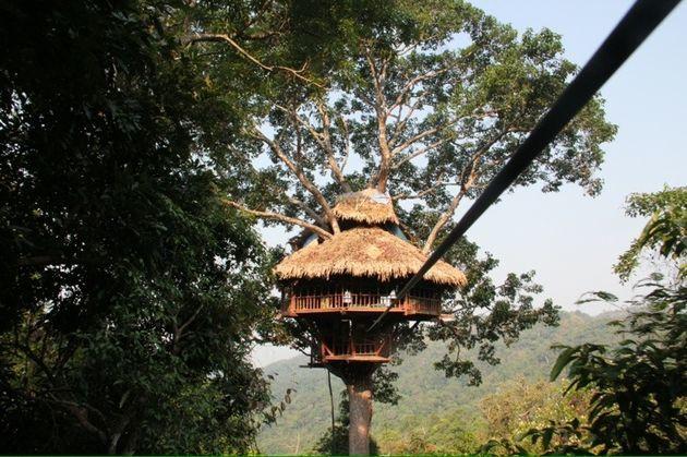 boomhut-gibbon-experience