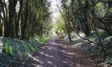 The Flitch Way extends for 15 miles